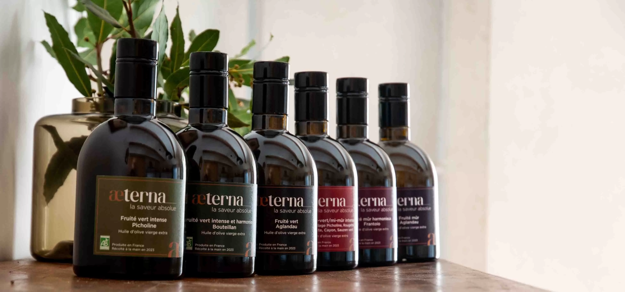 Comment bien conserver son huile d&rsquo;olive ?