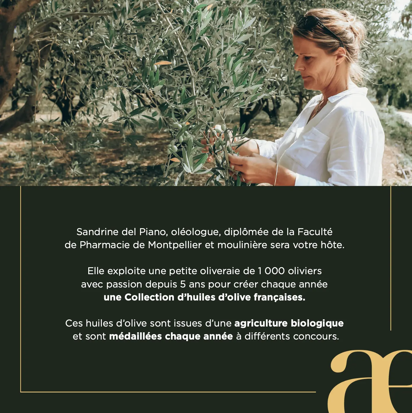 Capture d’écran 2025-05-16 à 18.56.47